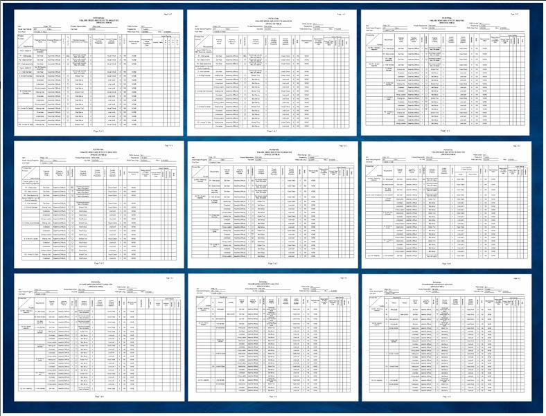 FMEA Formats